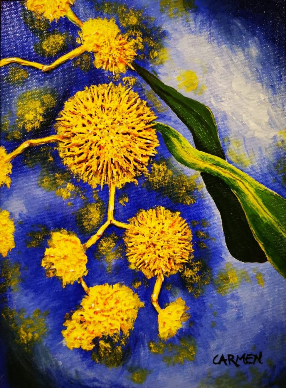 Australian Wattle