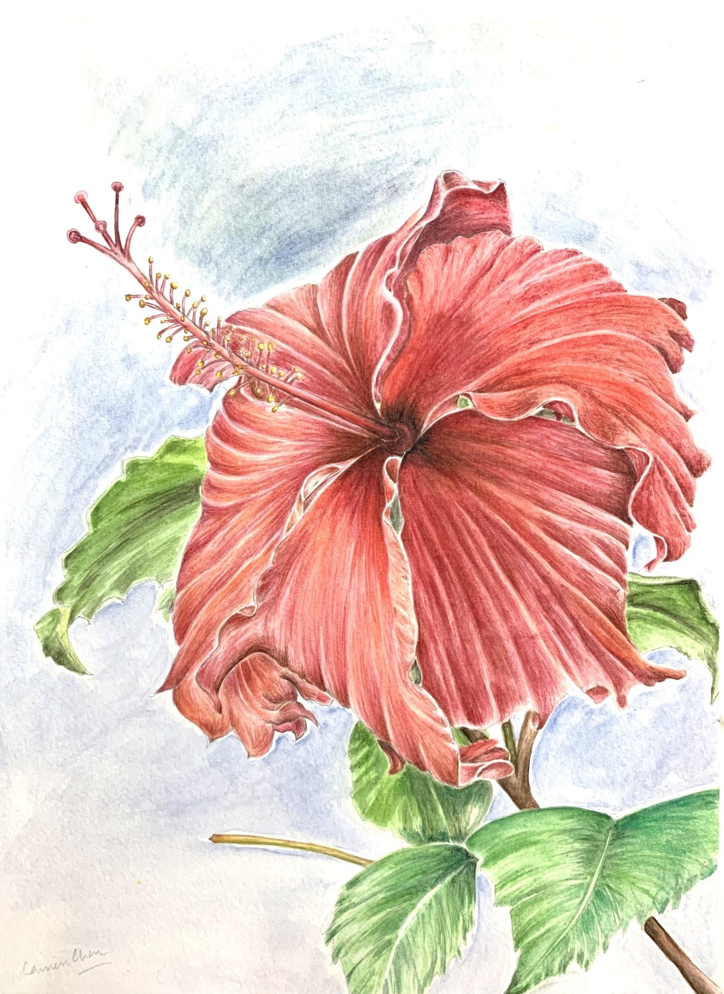 Mei Ling's Hibiscus